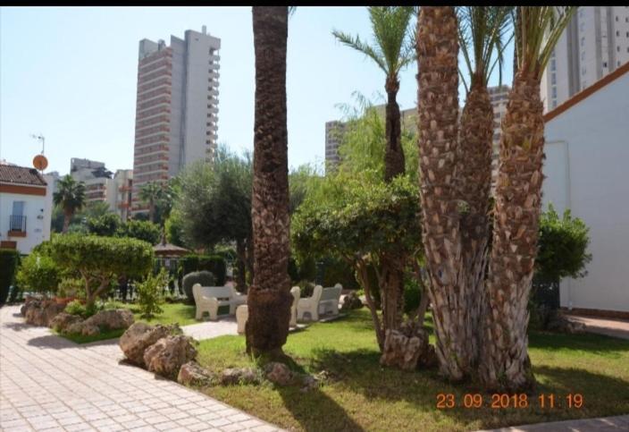 Sunshine Apartament Apartment Benidorm Exterior photo